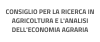 consiglio per la ricerca